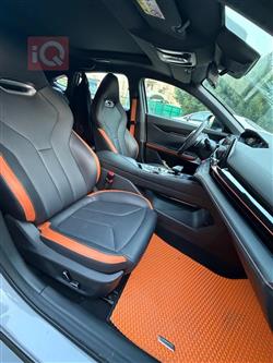 شانجان يوني في